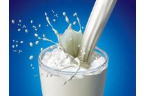 Công bố hợp quy sản phẩm sữa tươi